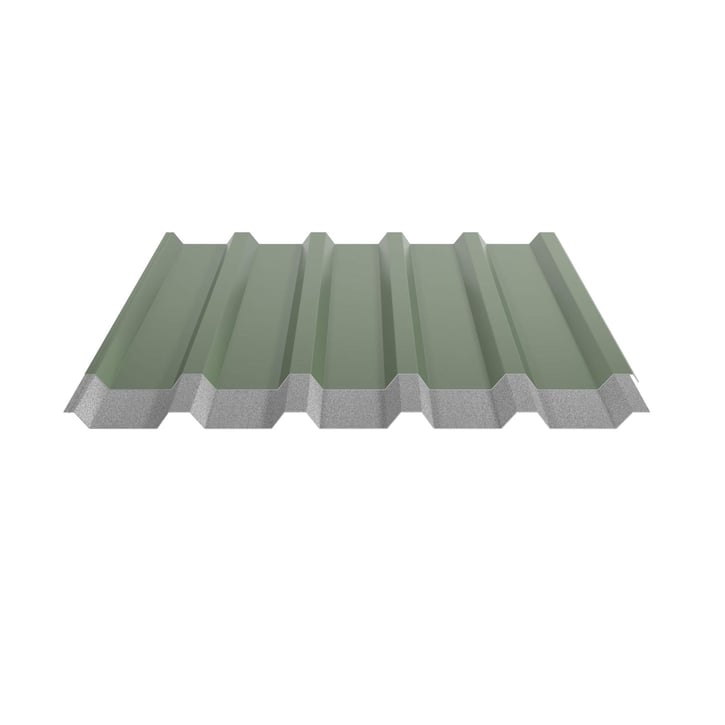 Damwandplaat 35/207 | Dak | Anti-Drup 1000 g/m² | Staal 0,50 mm | 25 µm Polyester | 6011 - Resedagroen #5
