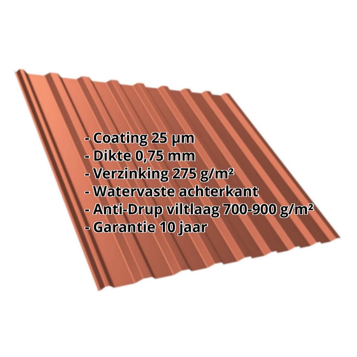 Damwandplaat T20M | Dak | Anti-Drup 700 g/m² | Staal 0,75 mm | 25 µm Polyester | 8004 - Koperbruin #2