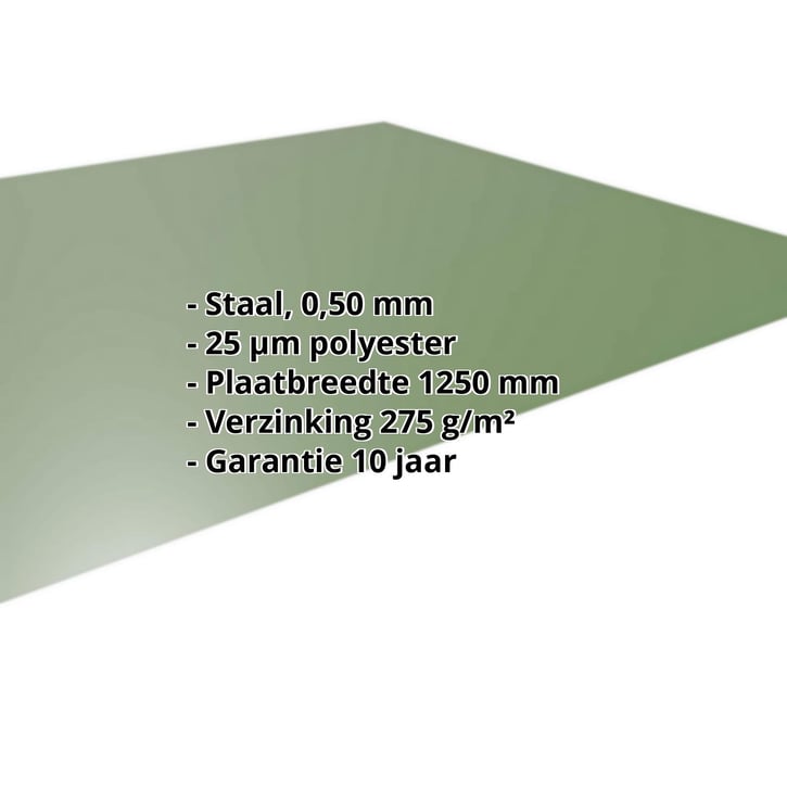 Vlakke plaat | Staal 0,50 mm | 25 µm Polyester | 6011 - Resedagroen #2