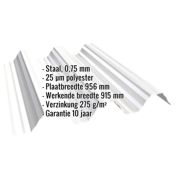 Warmdakplaat T92P | Dak Staal 0,75 mm | 25 µm Polyester | 9010 - Zuiverwit Warmdakplaat T92P | Dak | Staal 0,75 mm | 25 µm Polyester | 9010 - Zuiverwit #2