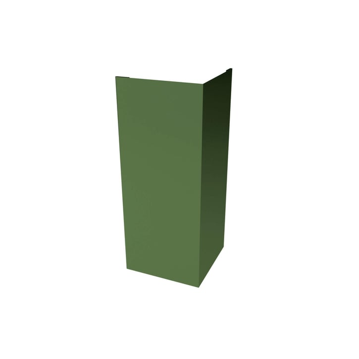 Buitenhoek | 100 x 100 x 2000 mm | Staal 0,50 mm | 25 µm Polyester | 6011 - Resedagroen #1