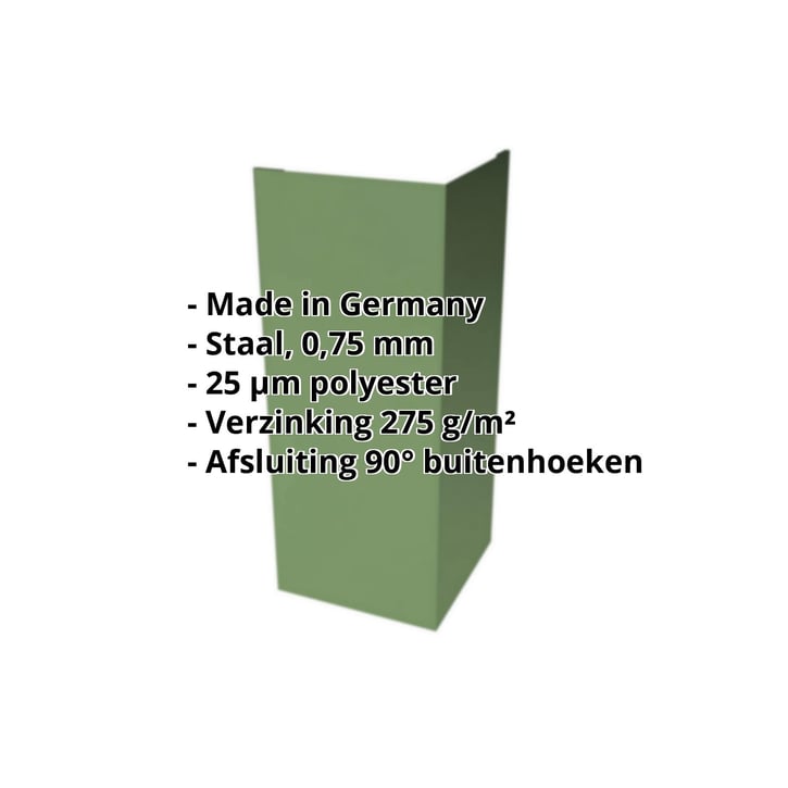 Buitenhoek | 100 x 100 x 2000 mm | Staal 0,75 mm | 25 µm Polyester | 6011 - Resedagroen #2
