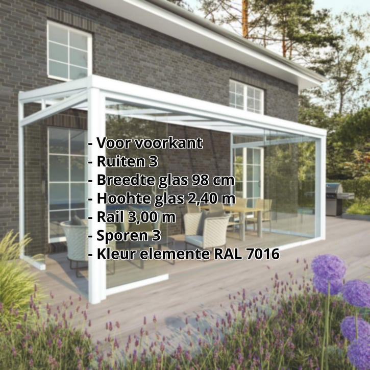 Glazen schuifdeuren | Voorkant | RAL 9016 | Breedte 3,00 m | Ruiten 3 | Glasbreedte 98 cm #2