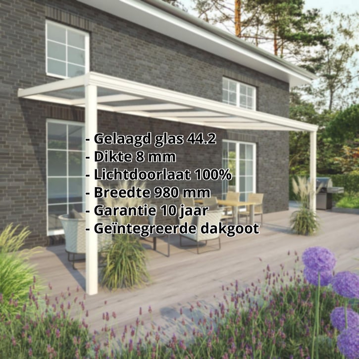 Terrasoverkapping | Sneeuwzone 1 | RAL 9001 | Glasplaat helder | Lijst klassiek | Breedte 4,06 m | Diepte 2,50 m #2