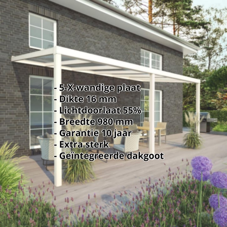 Terrasoverkapping | Sneeuwzone 1 | RAL 9001 | Plaat helder | Lijst vierkant | Breedte 7,06 m | Diepte 2,50 m #2