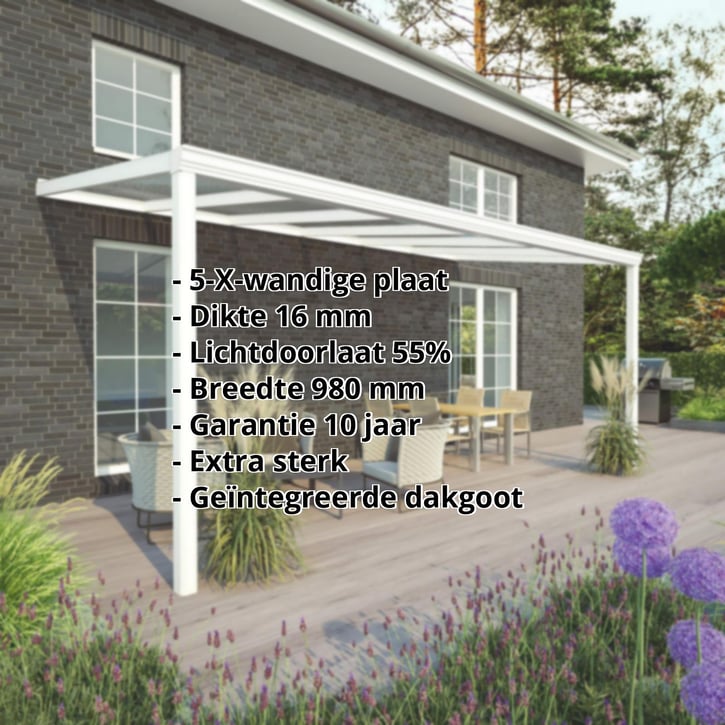Terrasoverkapping | Sneeuwzone 1 | RAL 9016 | Plaat helder | Lijst klassiek | Breedte 4,06 m | Diepte 2,00 m #2