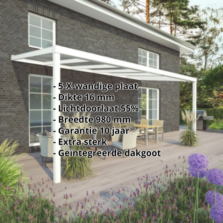 Terrasoverkapping | Sneeuwzone 1 | RAL 9016 | Plaat helder | Lijst vierkant | Breedte 4,06 m | Diepte 2,00 m #2