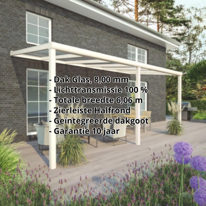 Terrasoverkapping | Sneeuwzone 2 | RAL 9001 | Glasplaat helder | Lijst halfrond | Breedte 6,06 m | Diepte 3,00 m #2