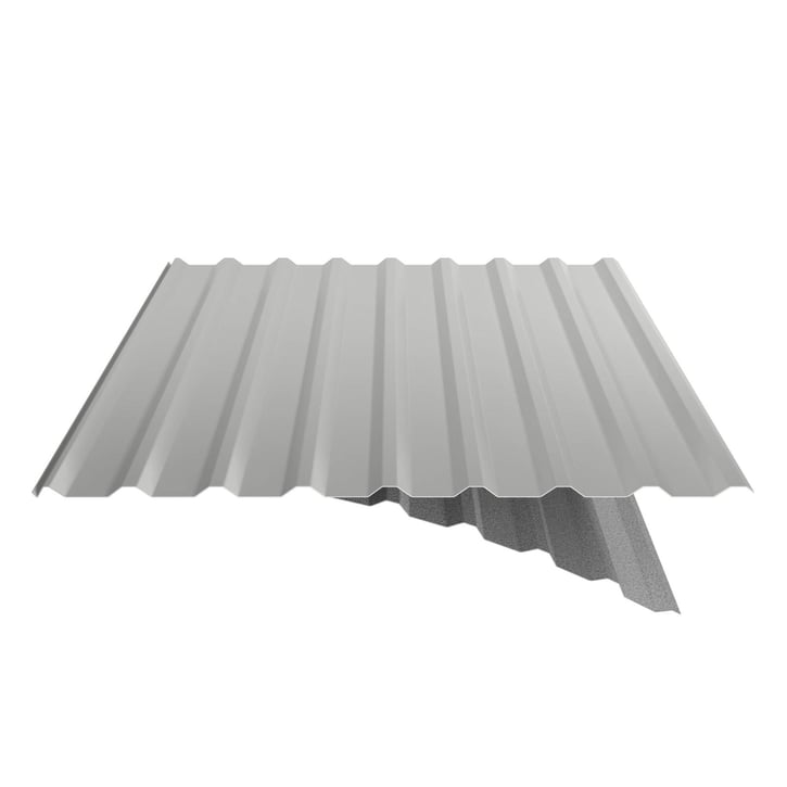 Damwandplaat 20/1100 | Dak | Anti-Drup 1000 g/m² | Actieplaat | Staal 0,75 mm | 25 µm Polyester | 9006 - Zilver-Metallic #6