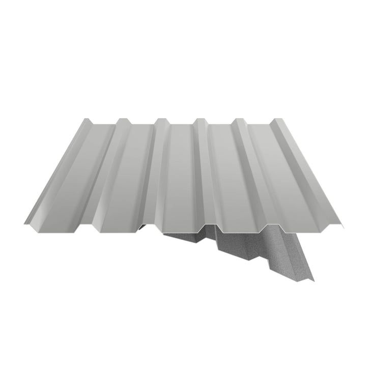 Damwandplaat 35/207 | Dak | Anti-Drup 1000 g/m² | Actieplaat | Staal 0,75 mm | 25 µm Polyester | 9006 - Zilver-Metallic #6