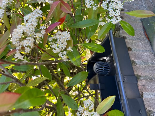 Productreview Image 1